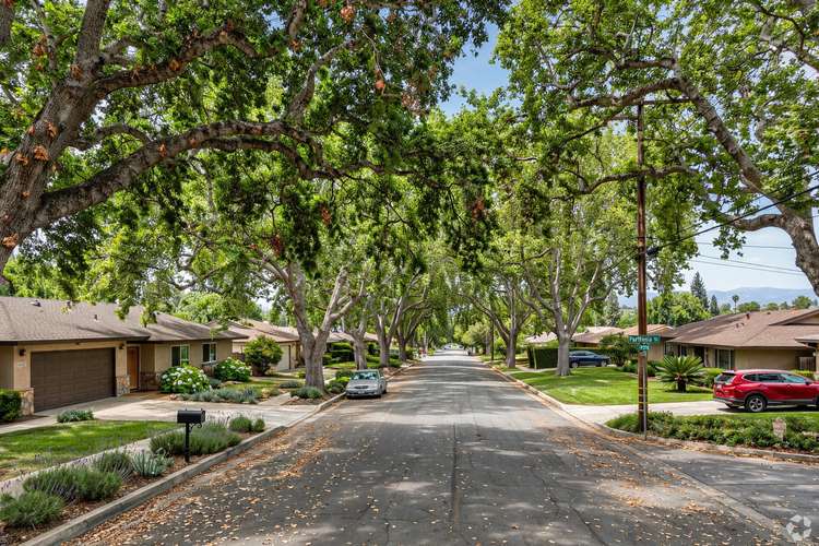 Leafy tree-lined Northridge street with mature trees overhanging ranch house roofs